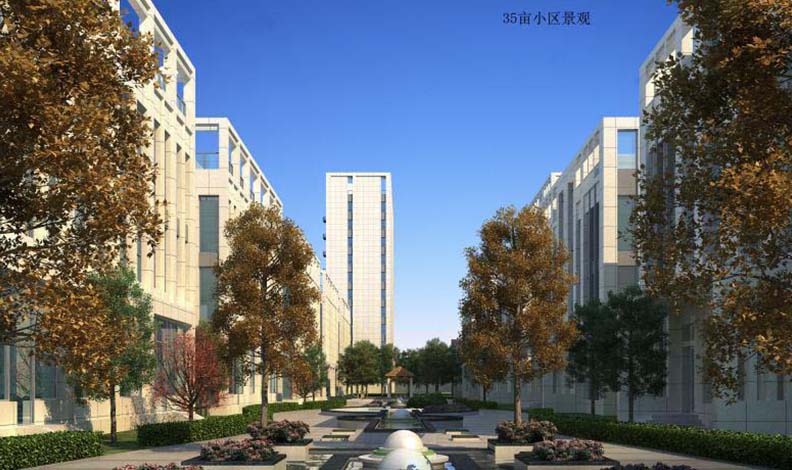 石家庄草莓视频黄片软件